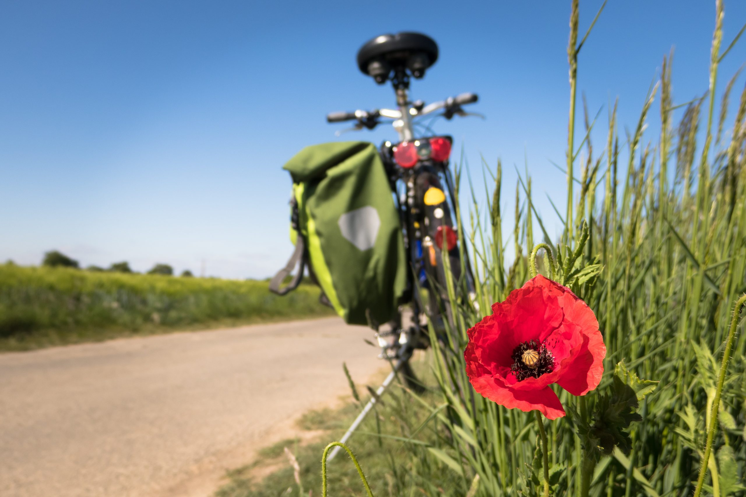 #Fahrrad #Radtour #Fahrradtour #Landschaft #Outdoor #DraußenUnterwegs