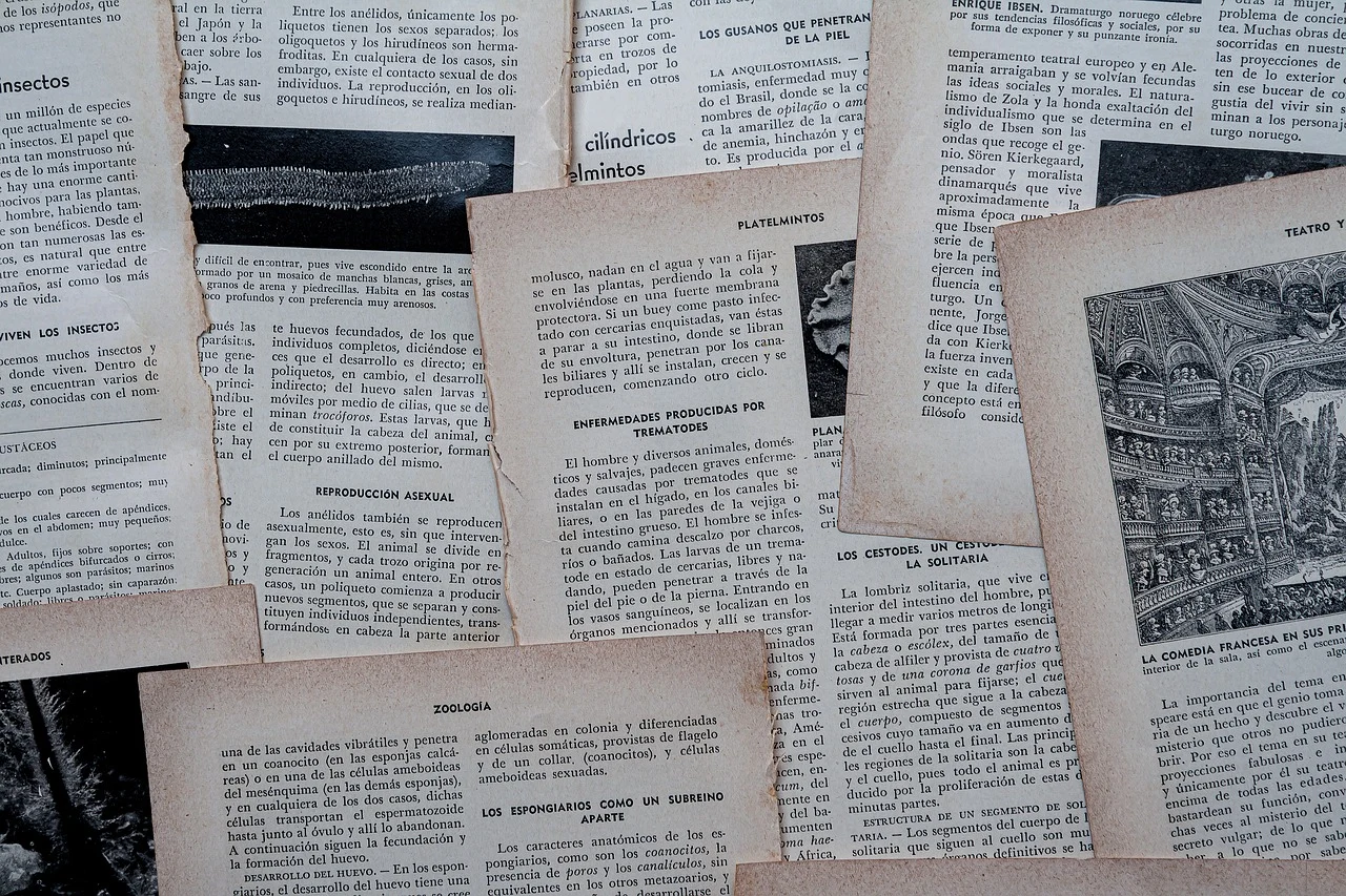 #Buchseiten