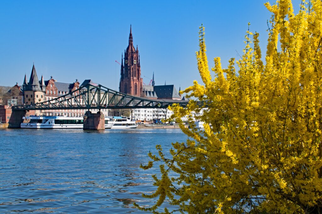 #Frankfurt #Brücke #EisernerSteg