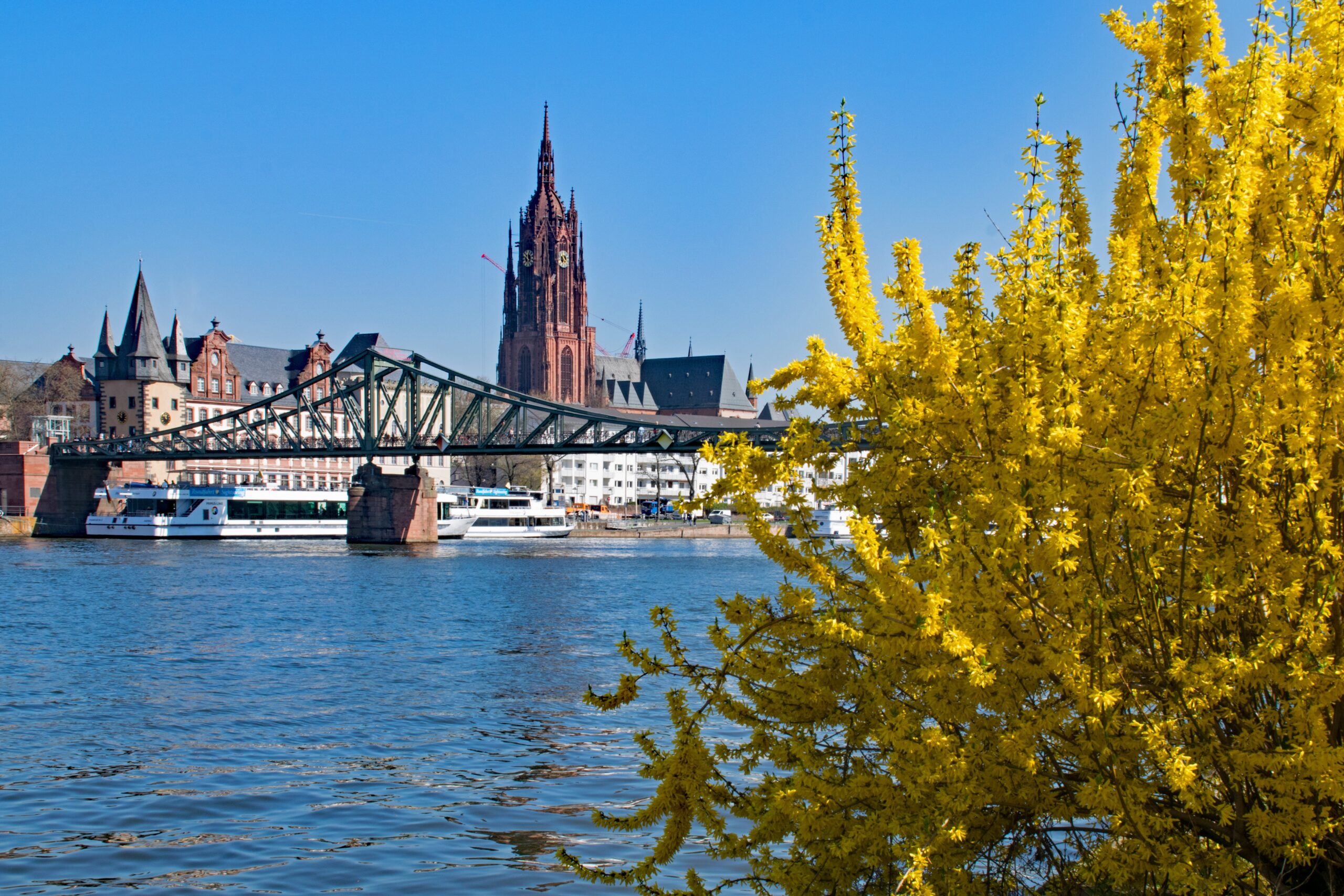 #Frankfurt #Brücke #EisernerSteg