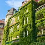 #Architektur #Frankfurt #Grünes Frankfurt