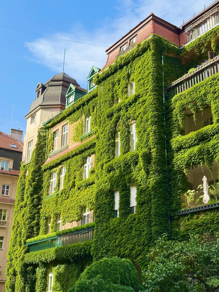 Too Hot – Heiße Städte, neue Wege