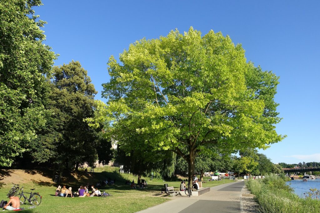 #Picknick #Park
