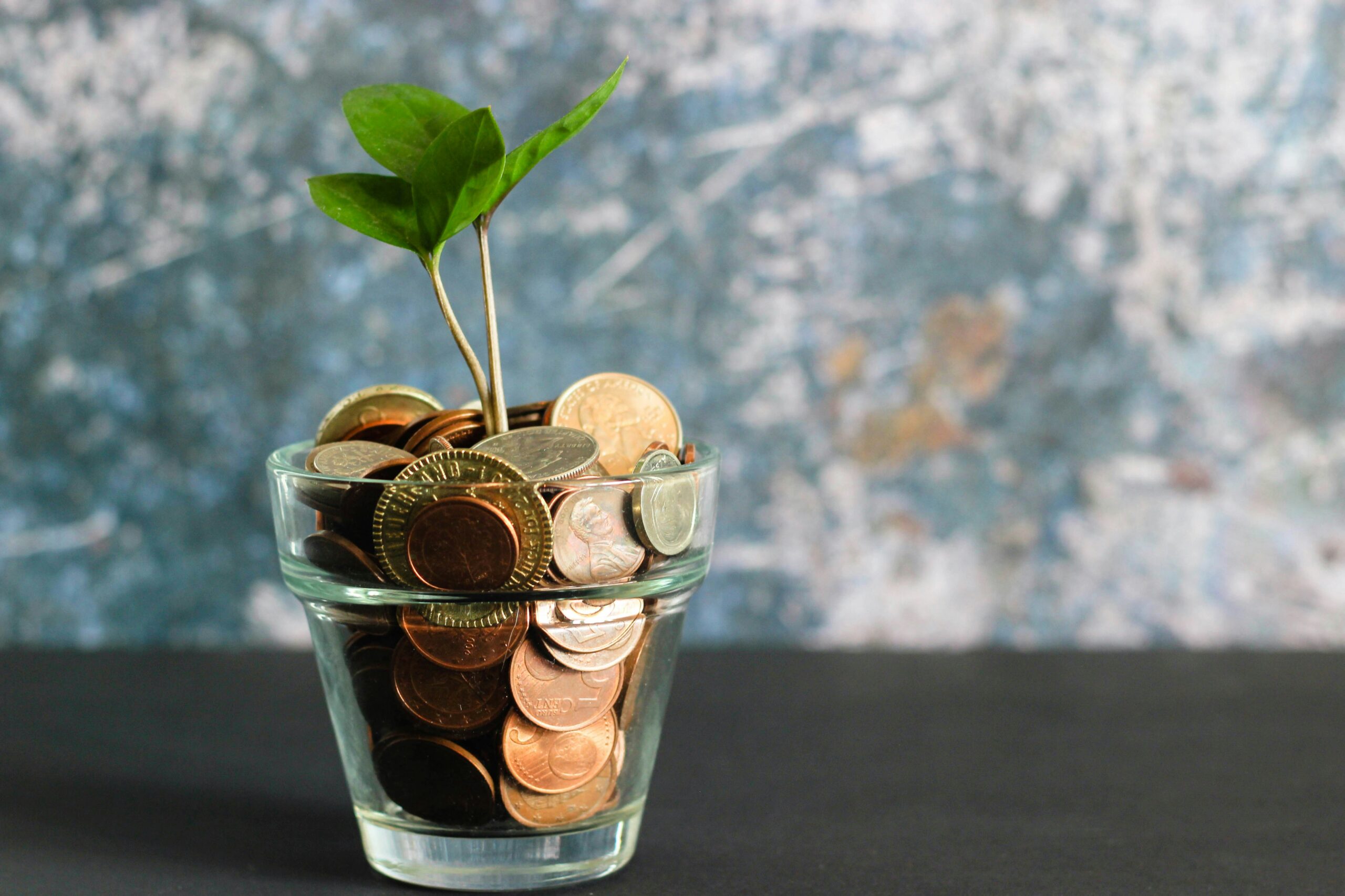 Geld, Pflanze, Glas, Klimawandel, Finanzen
