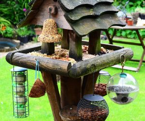 #Vogelhaus #Vogel #Futter